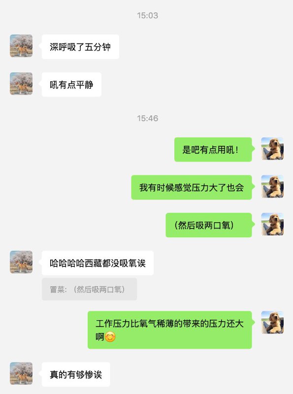 《一对周日加班的苦命鸳鸯》