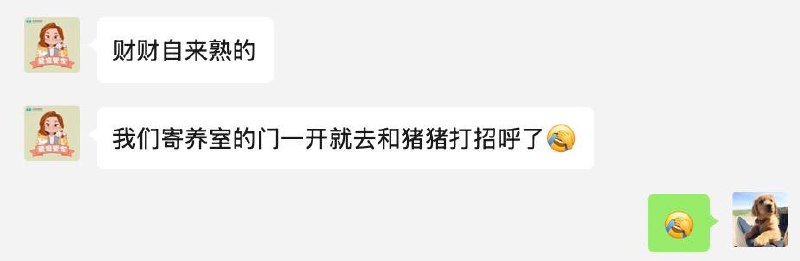 我在的时候那么怂，结果背着我在外面偷偷做 e 狗，冒财怎么这么会！